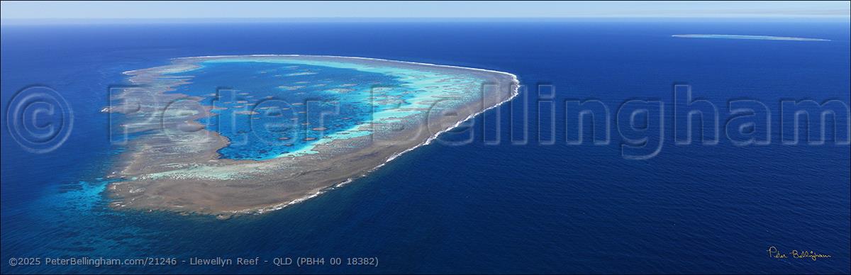 Peter Bellingham Photography Llewellyn Reef - QLD (PBH4 00 18382)